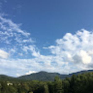 Meet your Posher, Hallie